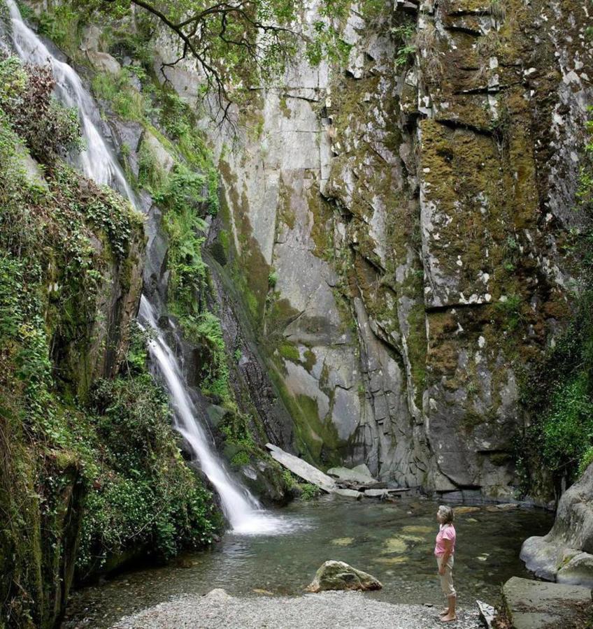 A Pequena Casa Coja Central Portugal Mountains エクステリア 写真