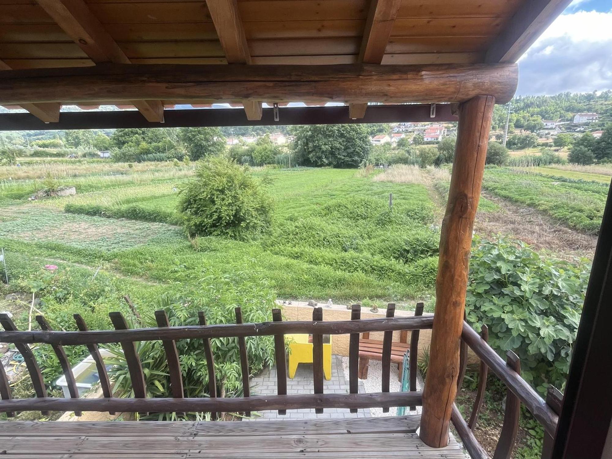 A Pequena Casa Coja Central Portugal Mountains エクステリア 写真