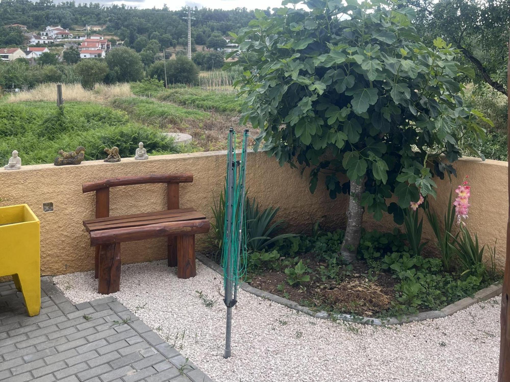 A Pequena Casa Coja Central Portugal Mountains エクステリア 写真